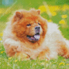 Aesthetic Chow Chow Pet Diamond Paintings