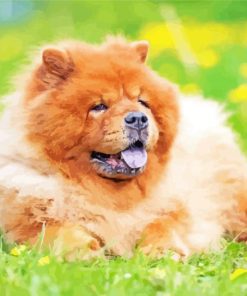 Aesthetic Chow Chow Pet Diamond Paintings