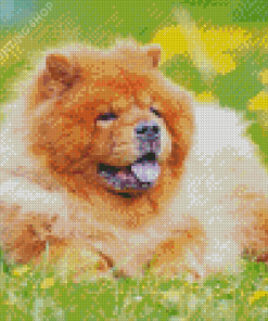 Aesthetic Chow Chow Pet Diamond Paintings