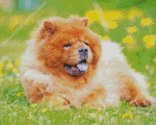 Aesthetic Chow Chow Pet Diamond Paintings