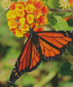 Aesthetic Orange Flower With Butterfly Diamond Paintings