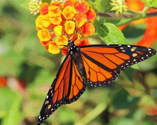 Aesthetic Orange Flower With Butterfly Diamond Paintings