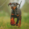 Aesthetic Doberman Pinscher Diamond Paintings