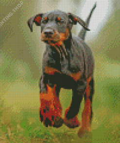 Aesthetic Doberman Pinscher Diamond Paintings