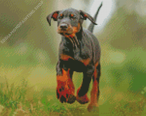 Aesthetic Doberman Pinscher Diamond Paintings