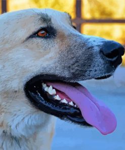 Anatolian Shepherd Diamond Paintings