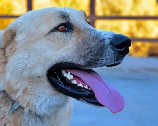 Anatolian Shepherd Diamond Paintings