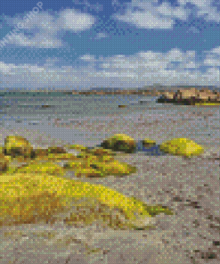 Arranmore Beach Diamond Paintings