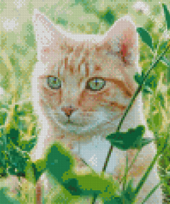 Cat In Field Diamond Painting