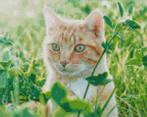 Cat In Field Diamond Painting