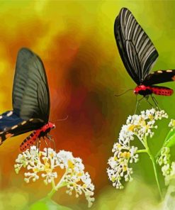 Couple Butterfly Diamond Paintings