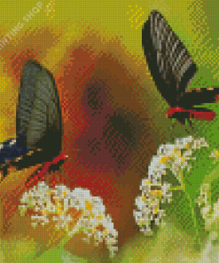 Couple Butterfly Diamond Paintings