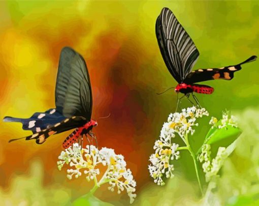 Couple Butterfly Diamond Paintings