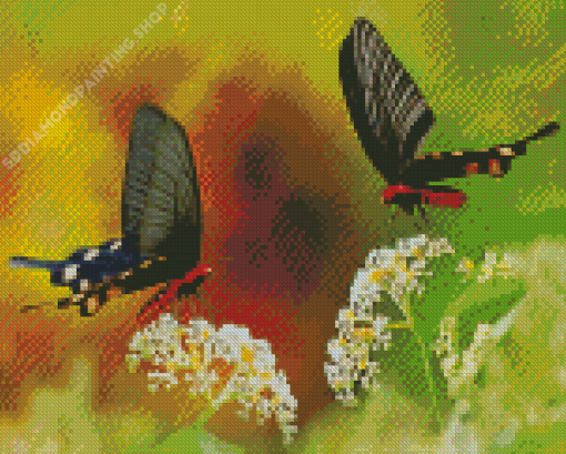 Couple Butterfly Diamond Paintings