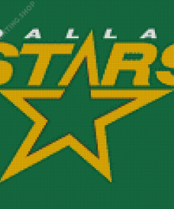 Dallas Stars Logo Diamond Paintings