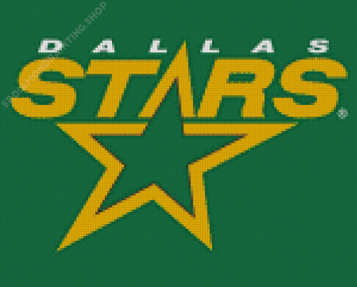 Dallas Stars Logo Diamond Paintings