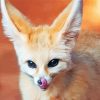 Desert Fennec Fox Animal Diamond Paintings