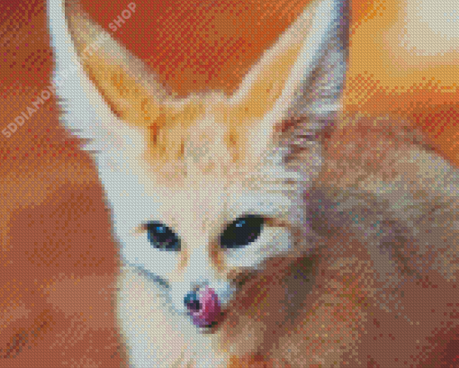 Desert Fennec Fox Animal Diamond Paintings