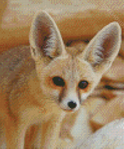 Fennec Fox Diamond Paintings