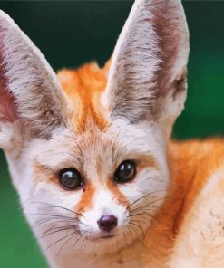 Fennec Fox Face Diamond Paintings