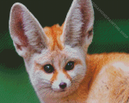 Fennec Fox Face Diamond Paintings