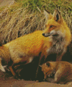 Fox Family Animals Diamond Paintings