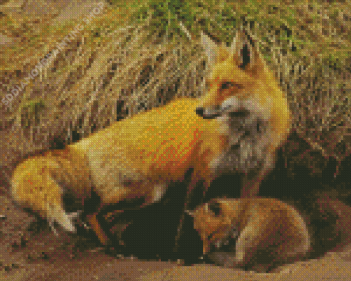 Fox Family Animals Diamond Paintings