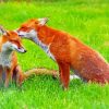 Fox Family Couple Diamond Paintings