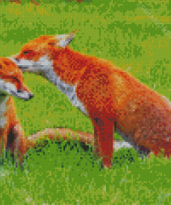 Fox Family Couple Diamond Paintings