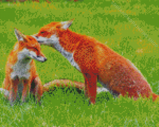 Fox Family Couple Diamond Paintings