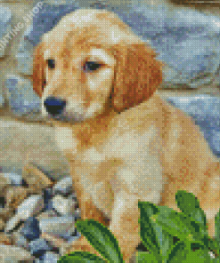 Golden Puppy Dog Diamond Paintings