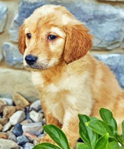 Golden Puppy Dog Diamond Paintings