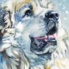 Great Pyrenees Dog Face Diamond Paintings