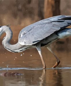 Grey Heron Fishing Diamond Paintings