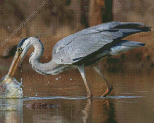 Grey Heron Fishing Diamond Paintings