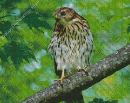 Hawks In A Green Forest Diamond Paintings