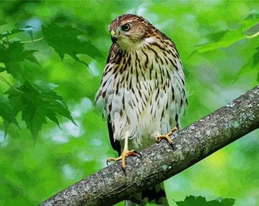 Hawks In A Green Forest Diamond Paintings