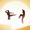 Karate Kid Movie Poster Diamond Paintings