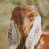 Long Eared Goat Diamond Paintings