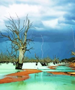 Menindee Lake Diamond Paintings