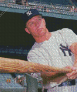 Mickey Mantle Baseballer Diamond Paintings