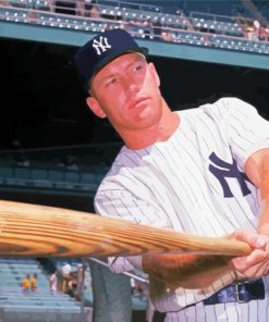 Mickey Mantle Baseballer Diamond Paintings