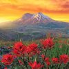 Mt St Helens With Red Poppies Diamond Paintings