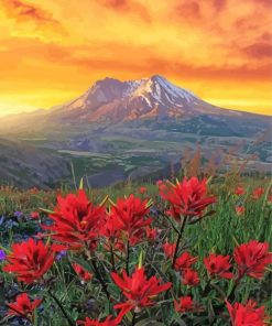 Mt St Helens With Red Poppies Diamond Paintings