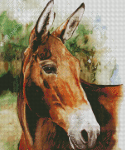 Mule Head Diamond Paintings