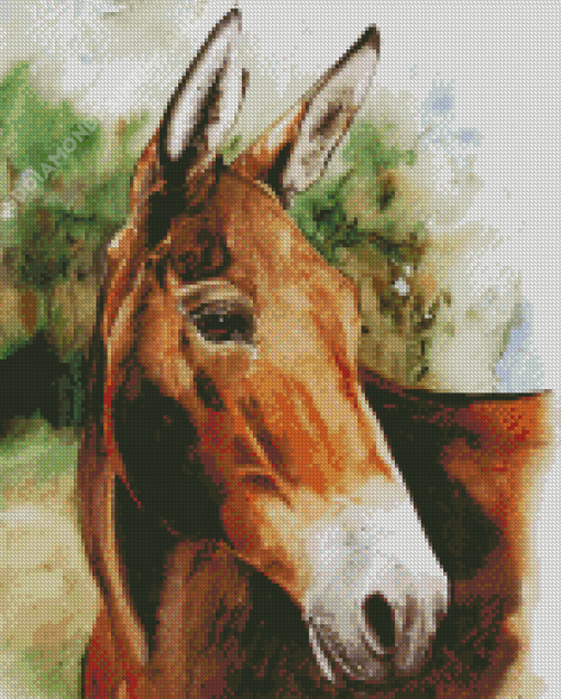 Mule Head Diamond Paintings