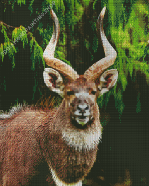 Nyala Animal Diamond Paintings