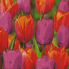 Orange Purple Tulips Diamond Paintings