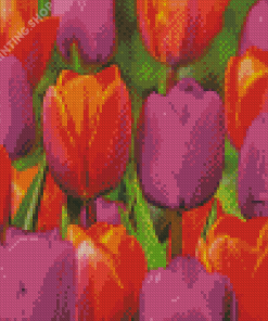 Orange Purple Tulips Diamond Paintings