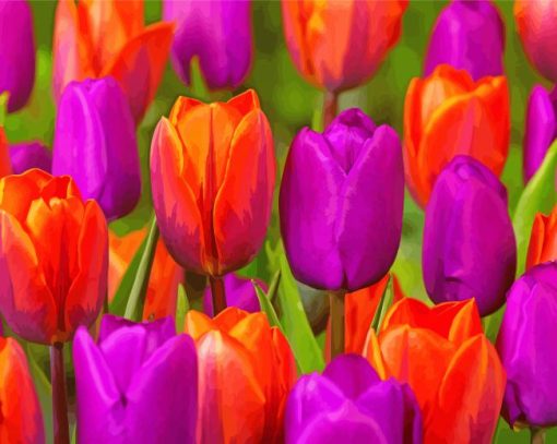 Orange Purple Tulips Diamond Paintings